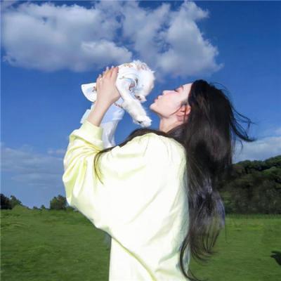 模范刑警第二季